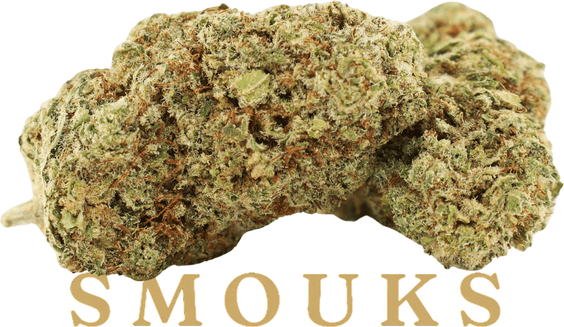 TH8-C Gelato Classic 41 SMOUKS